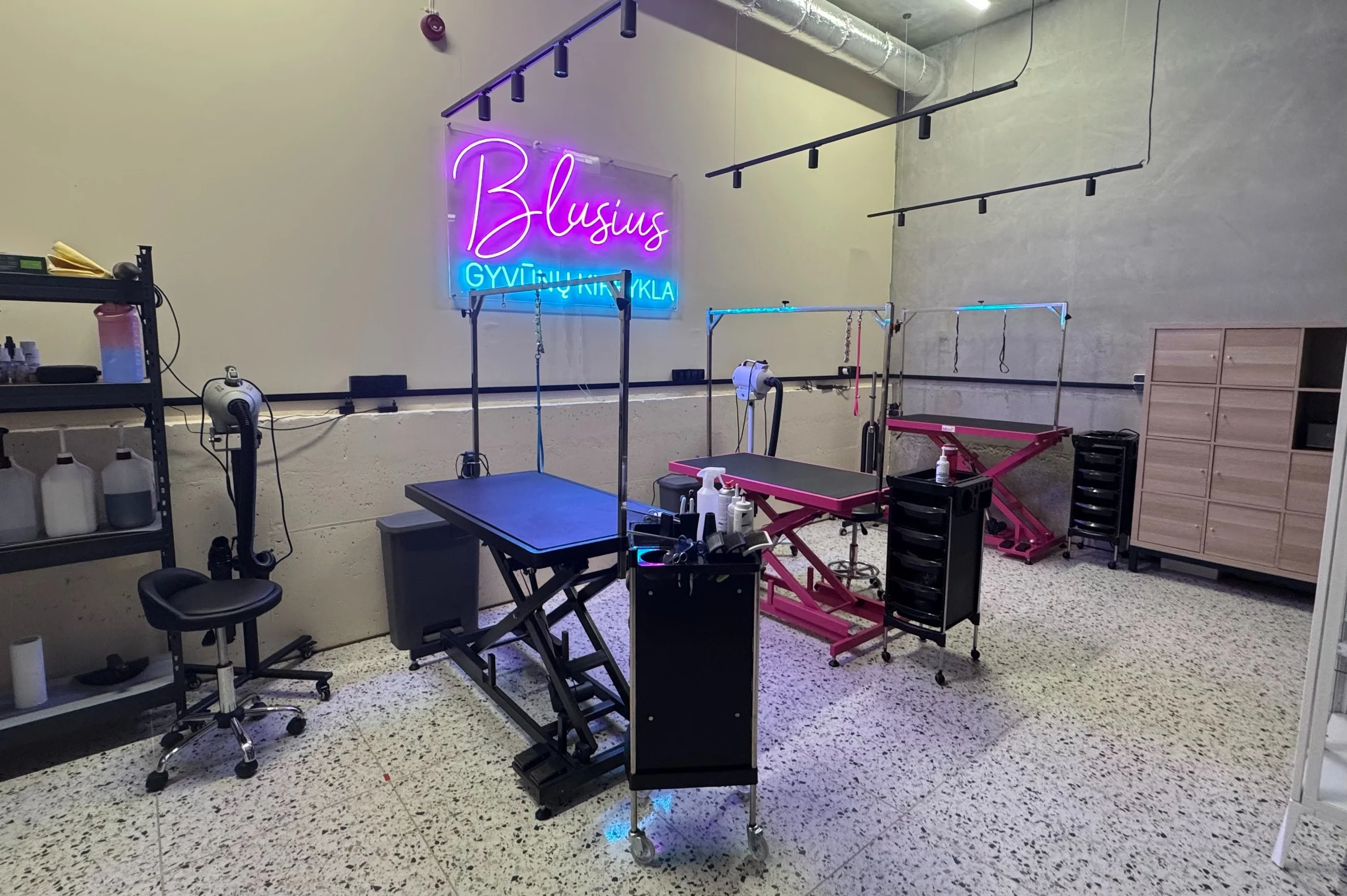 Blusius - Gyvūnų kirpykla, Vilnius
